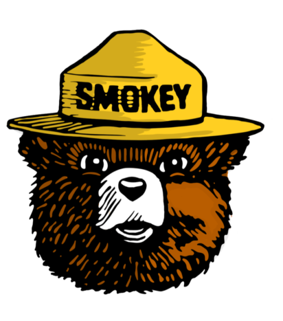 Visit Smokey for Kids to learn how to prevent wildfires through fun games and activities.  image