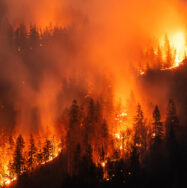 7 Defensible Zones to Protect Your Home from Wildfires